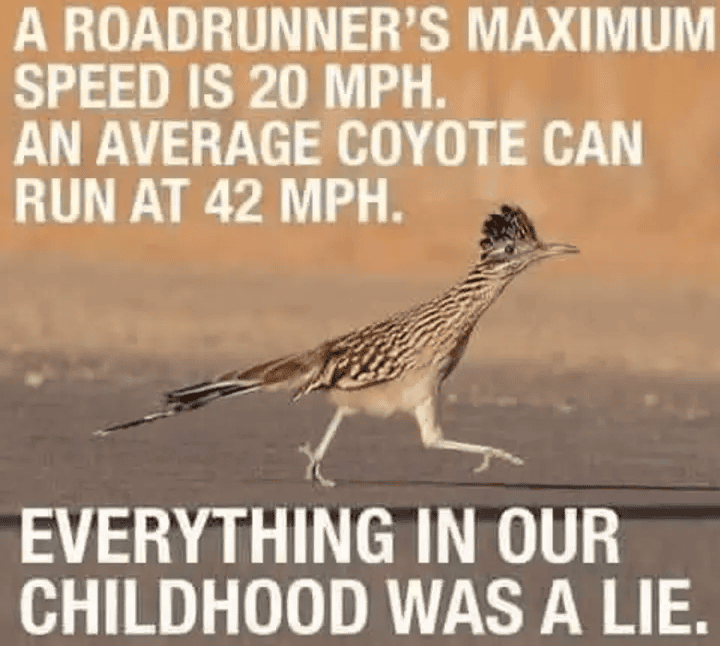 Bronco Memes and Funnies - Bronco Nation