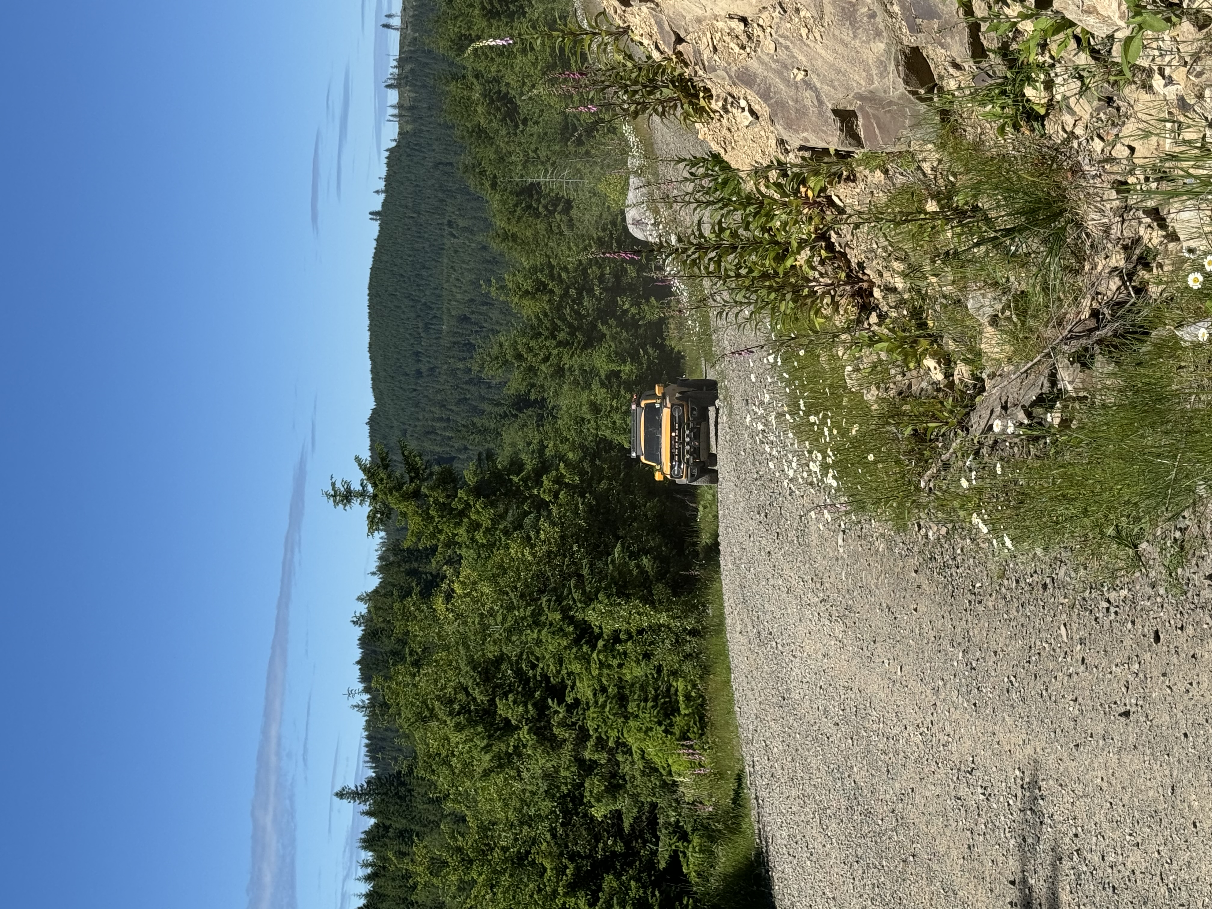 IMG_0174.jpeg