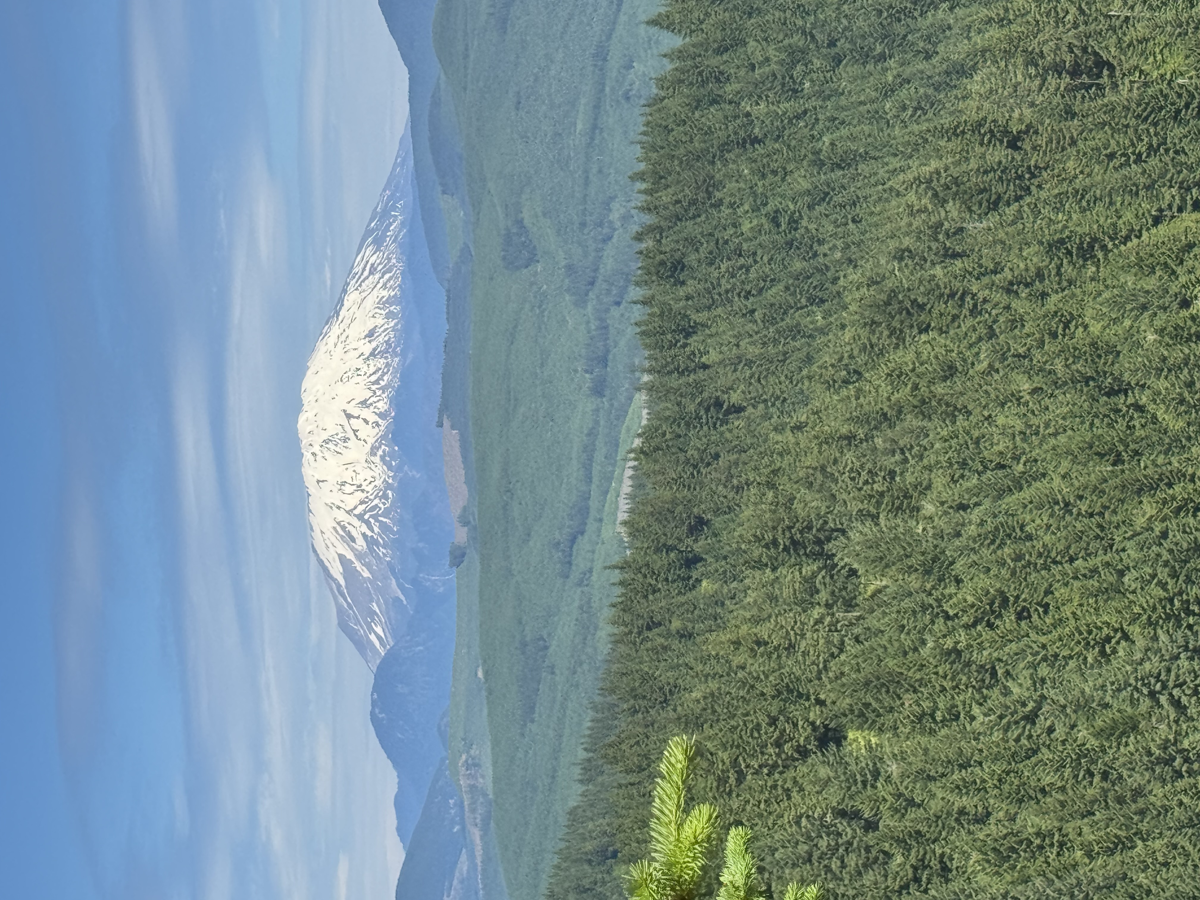 IMG_0164.jpeg