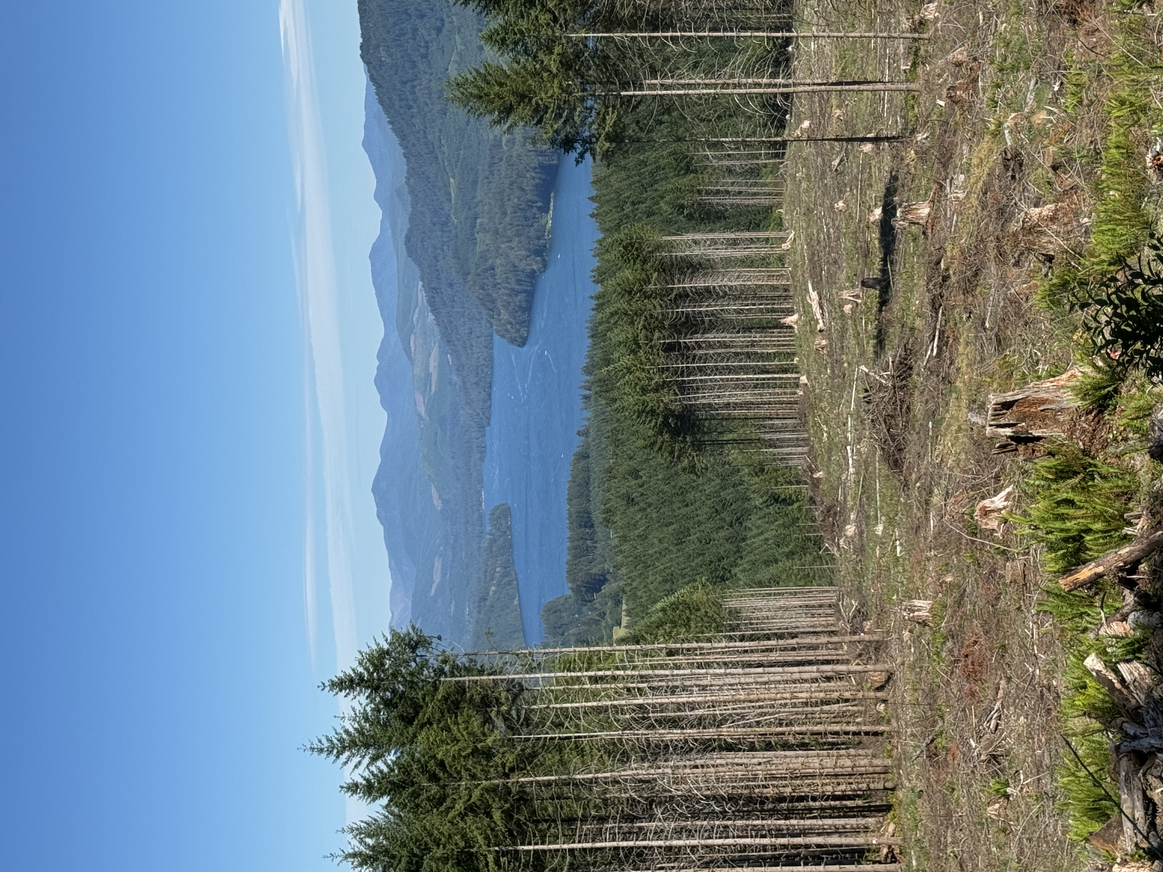 IMG_0190.jpeg