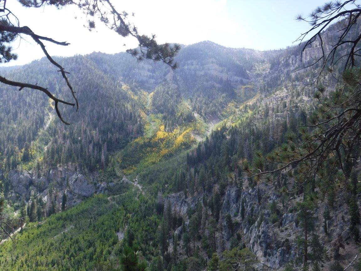 Cathedral-Rock-Mt.-Charleston-3.jpg