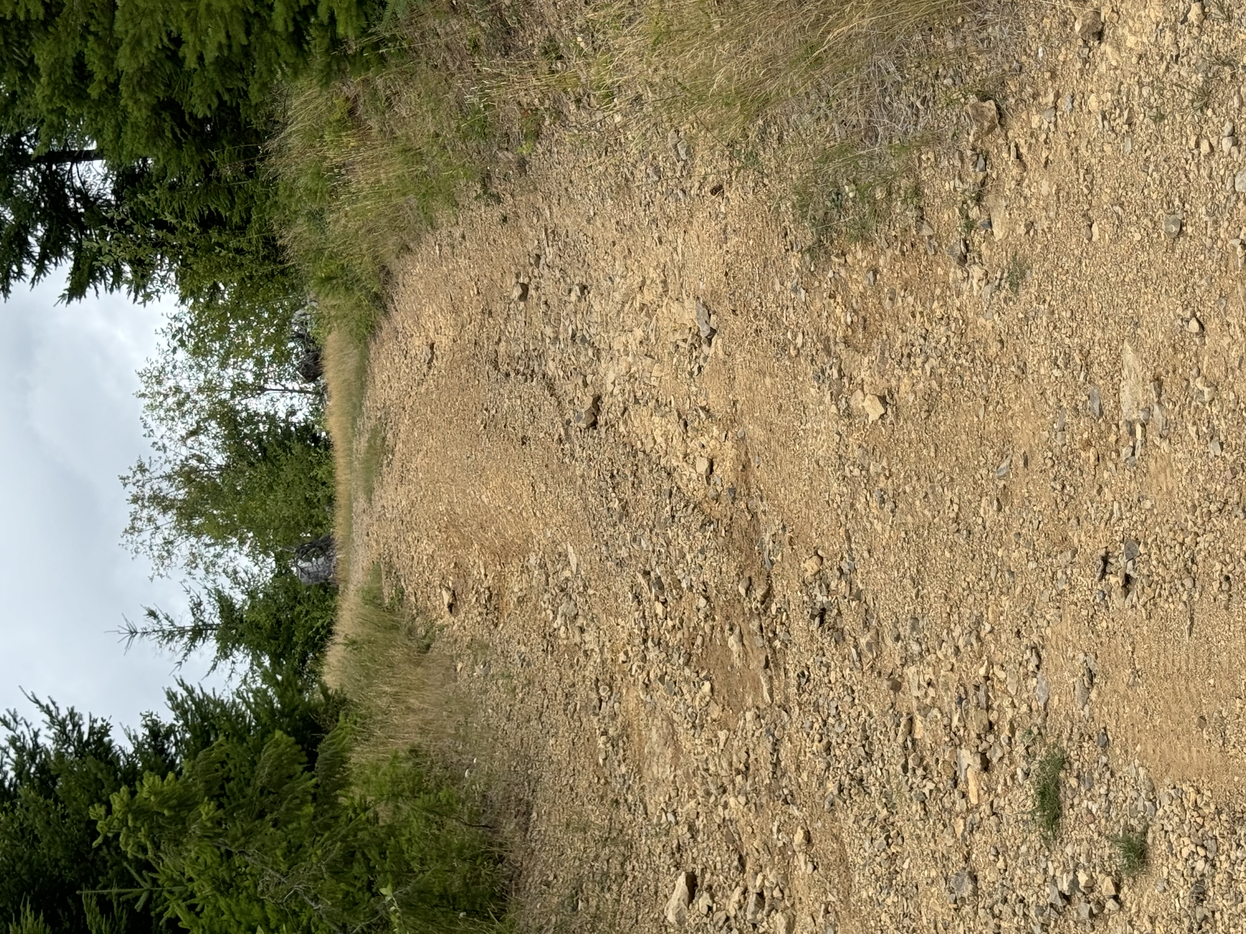 IMG_0574.jpeg