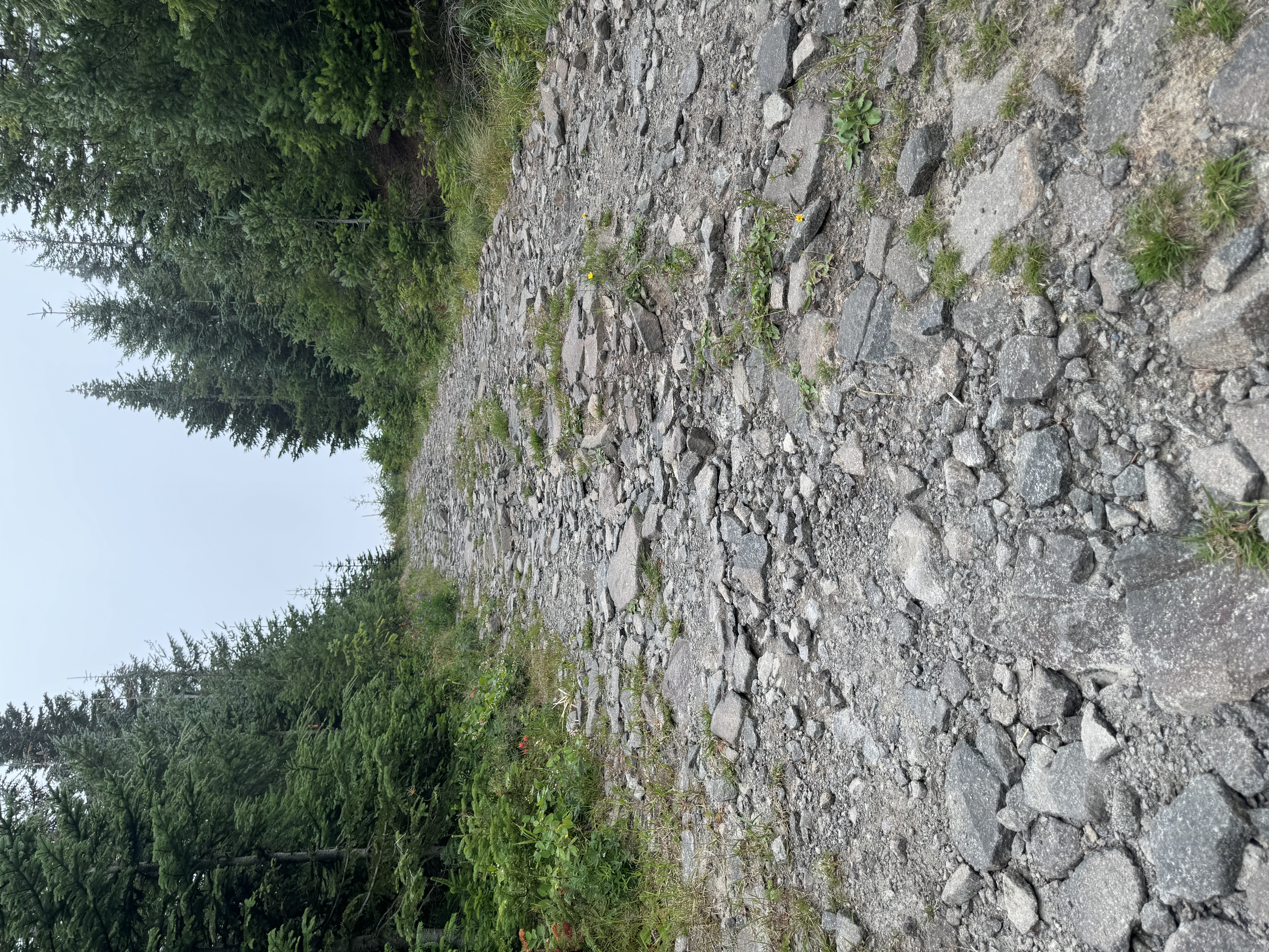 IMG_0541.jpeg