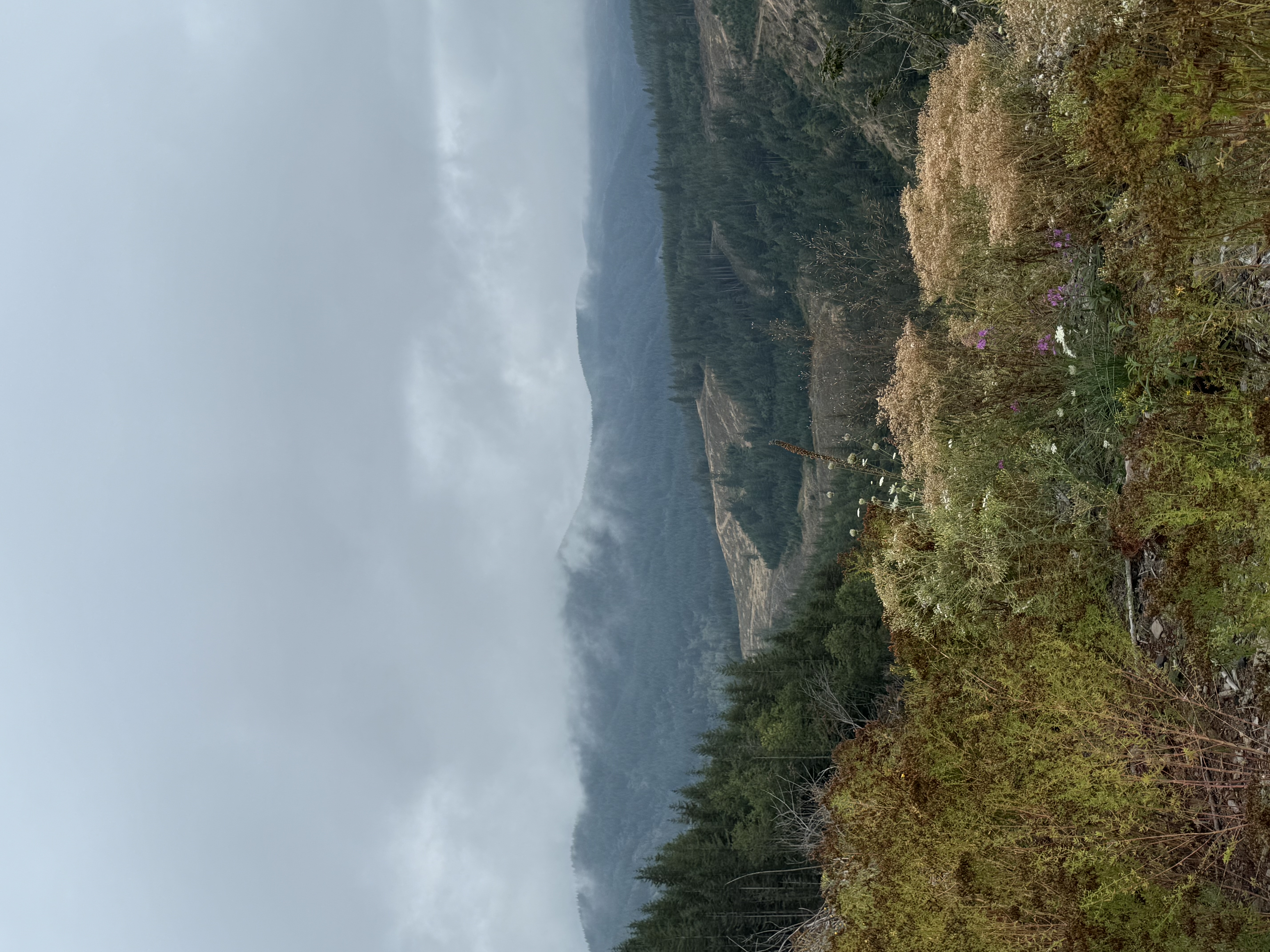 IMG_0527.jpeg