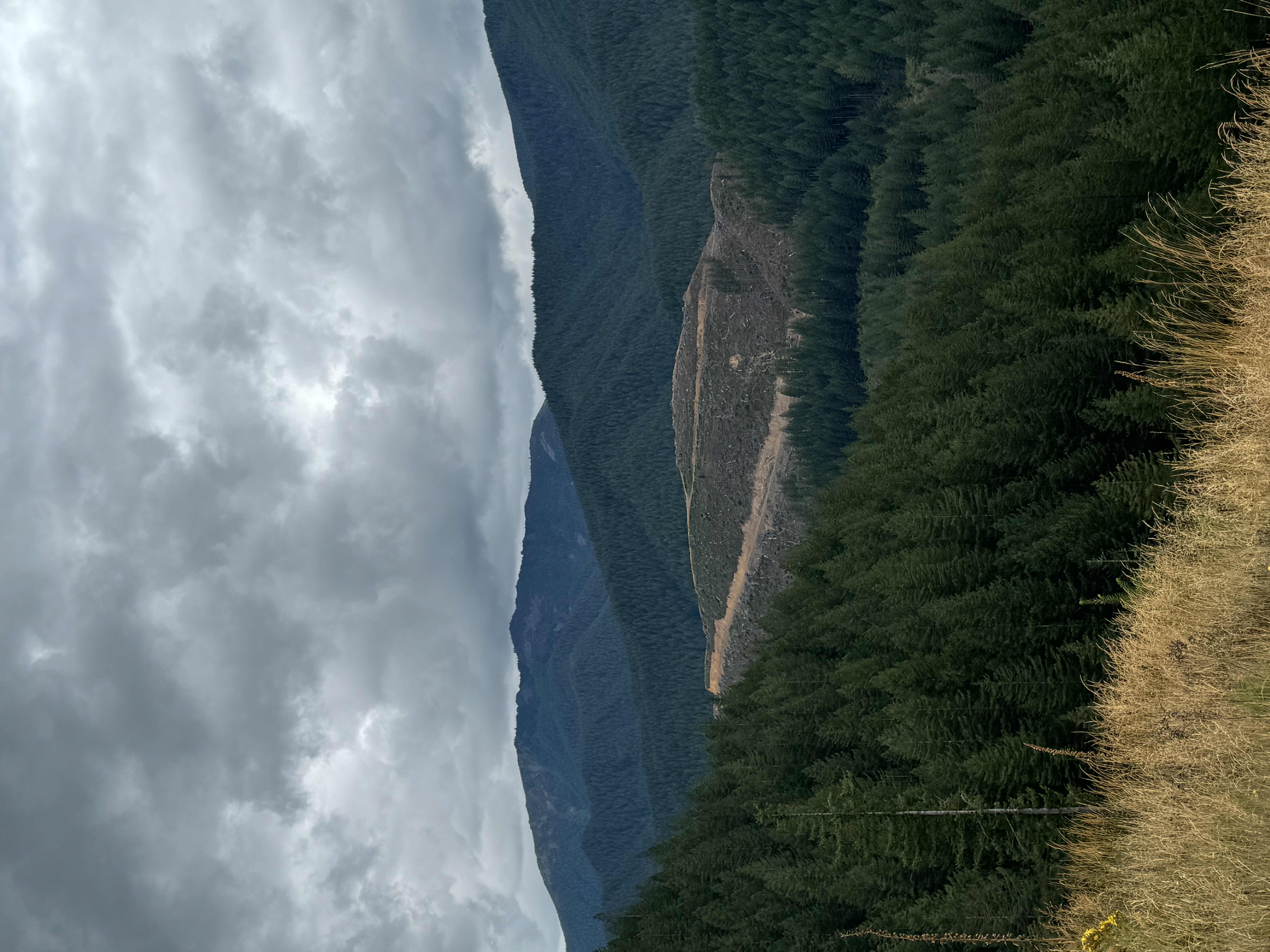 IMG_0578.jpeg