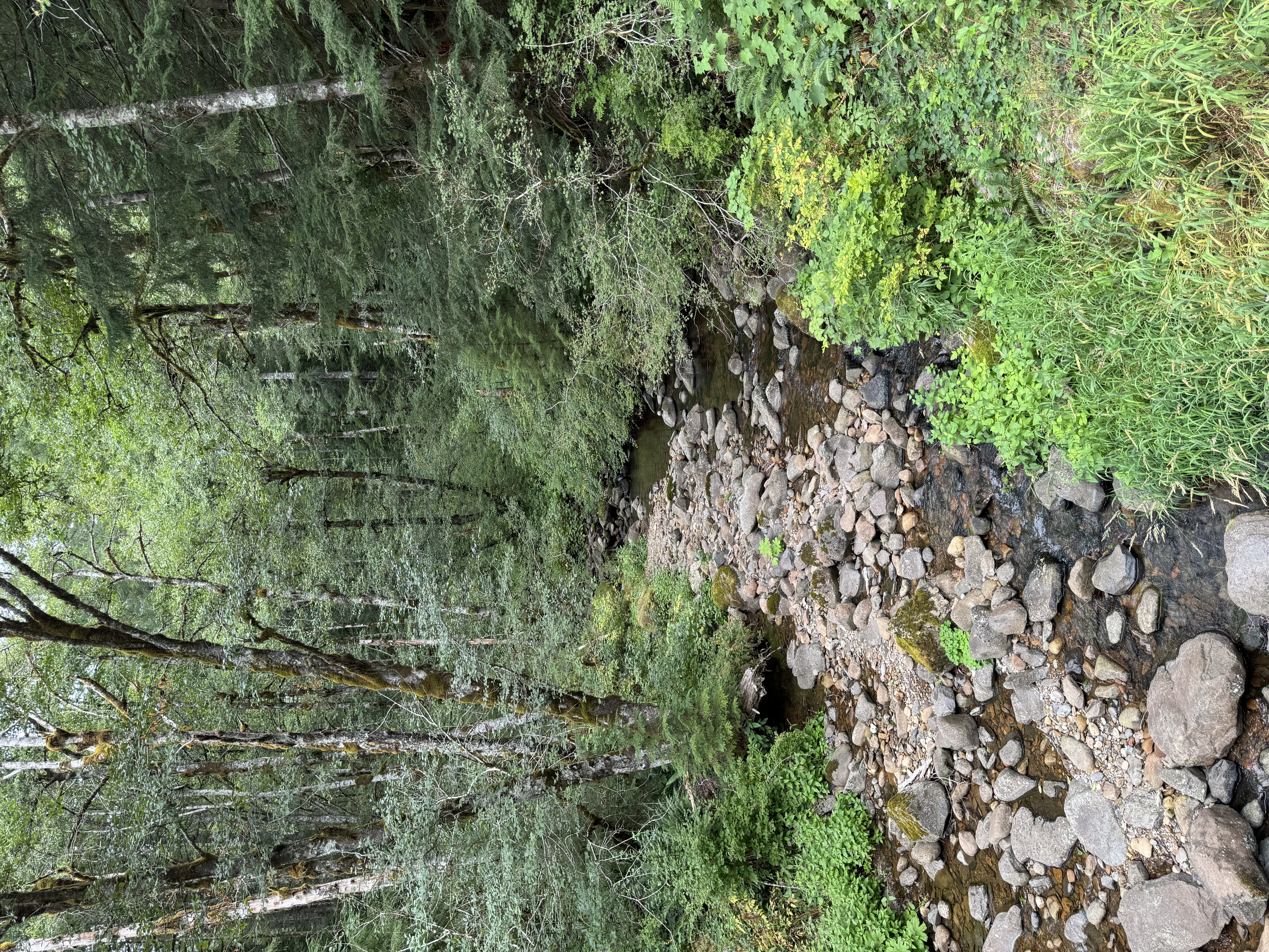 IMG_0575.jpeg