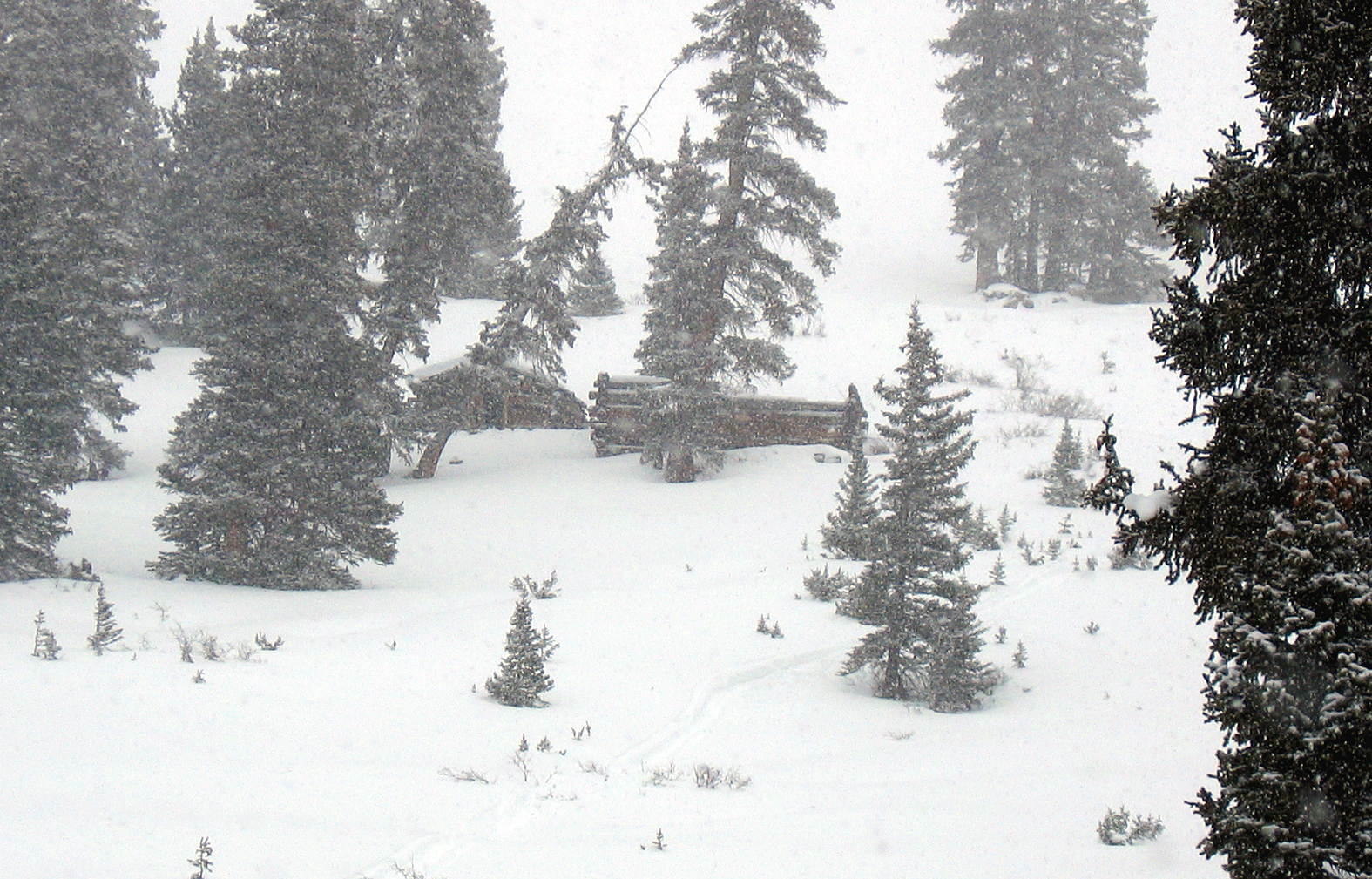Wild Irishman's Mine, CO 1 in Jan-'04.jpg