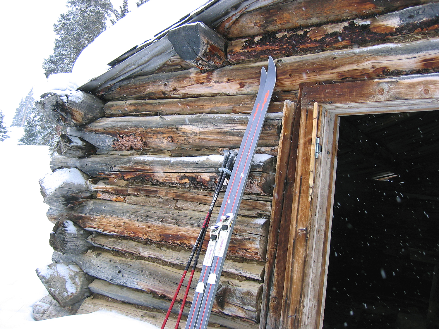 Wild Irishman's Mine, CO 2 in Jan-'04.jpg