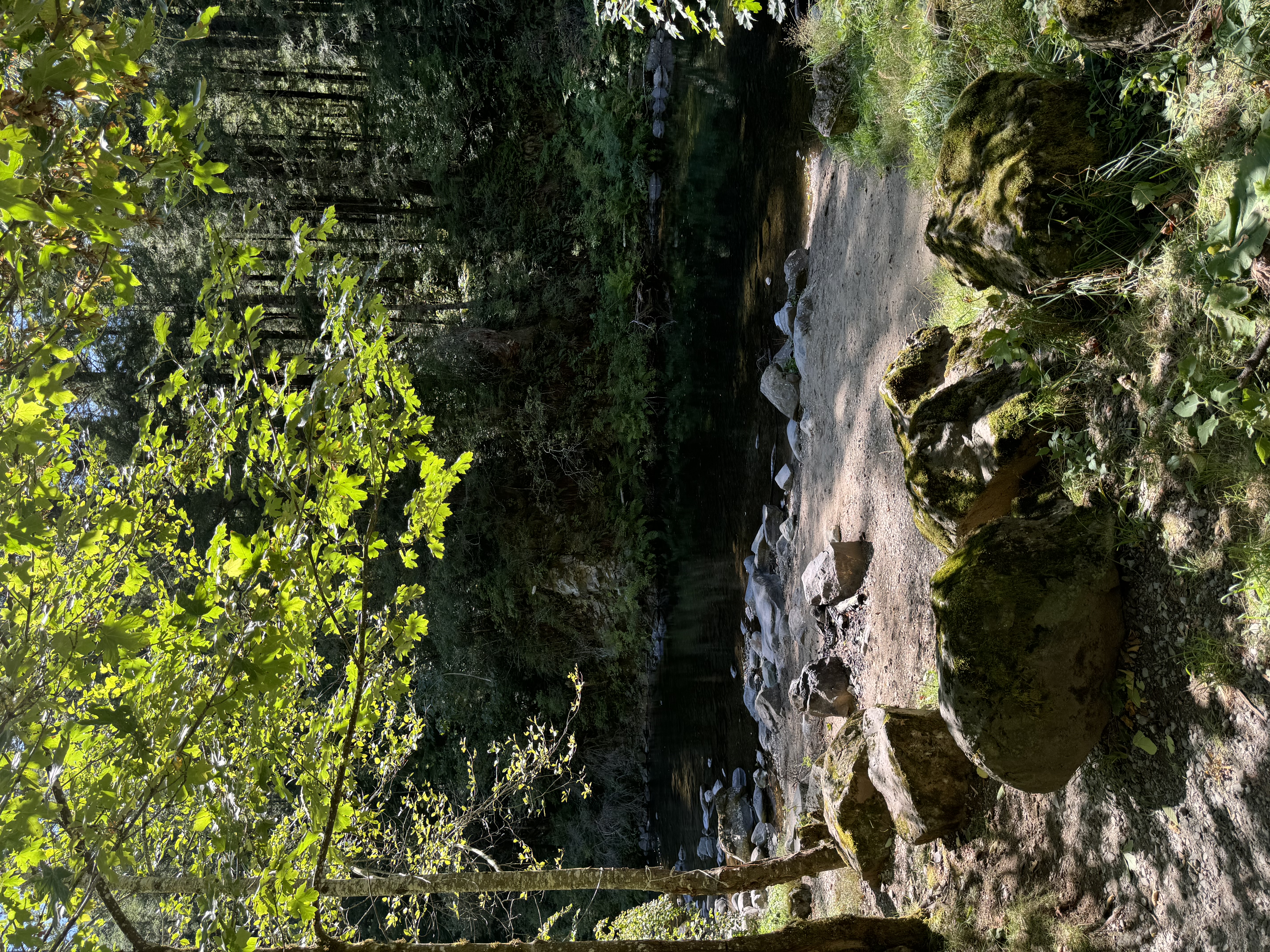 IMG_0703.jpeg