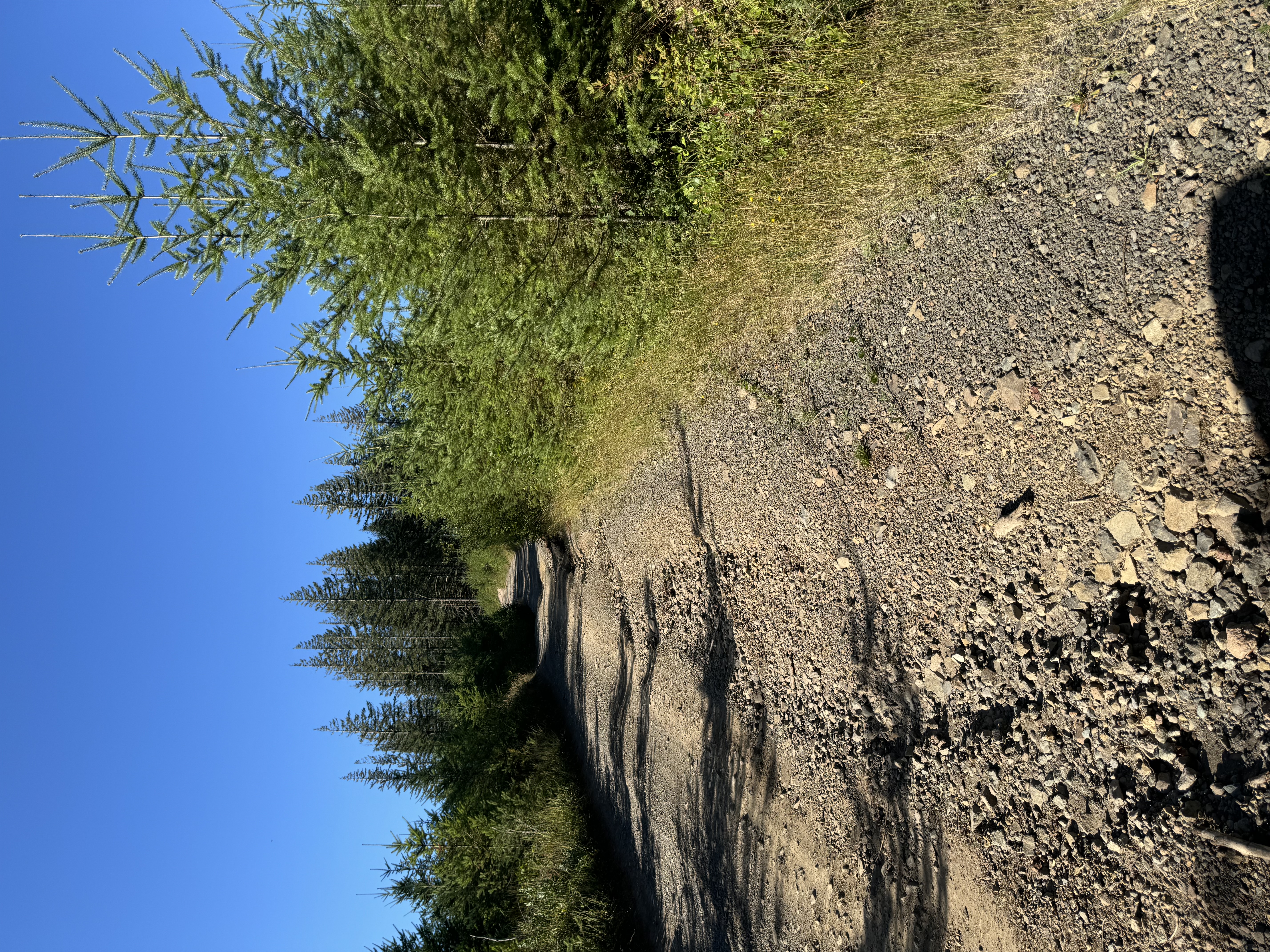 IMG_0614.jpeg