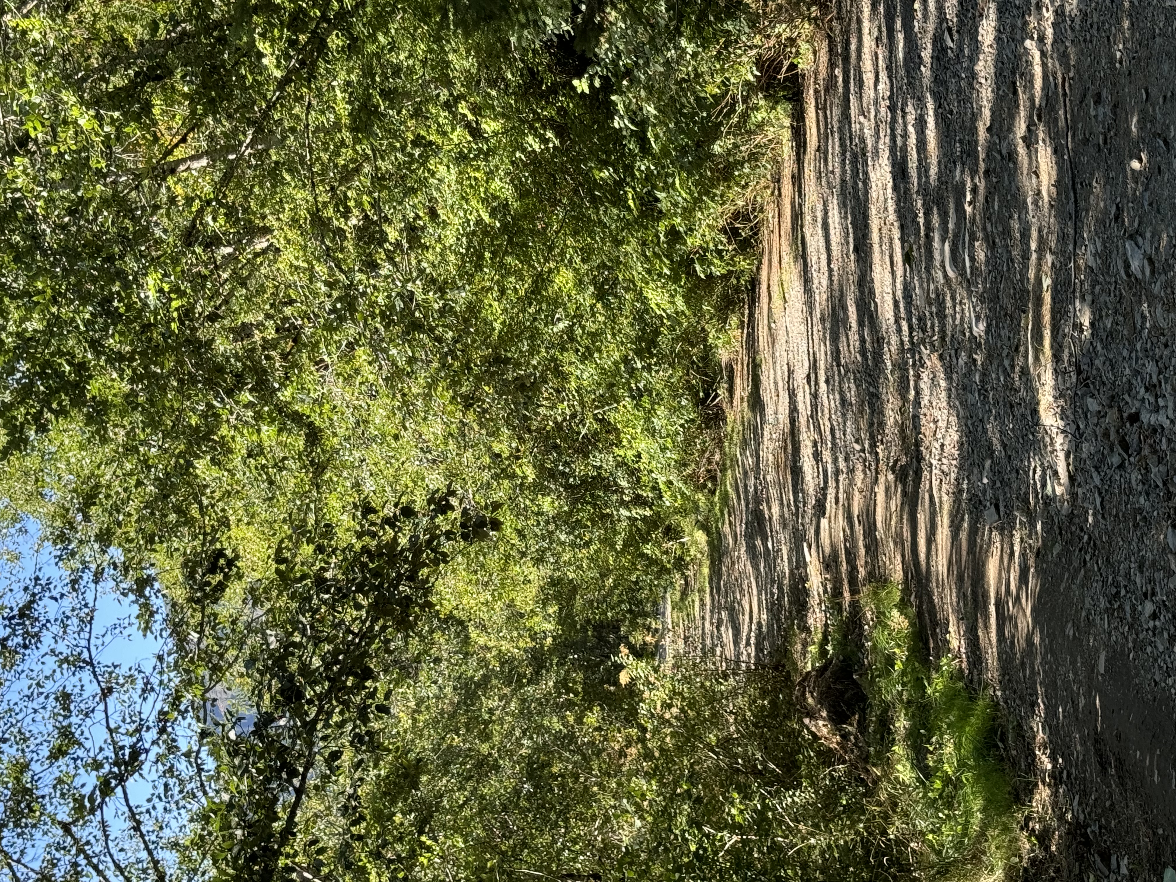 IMG_0625.jpeg