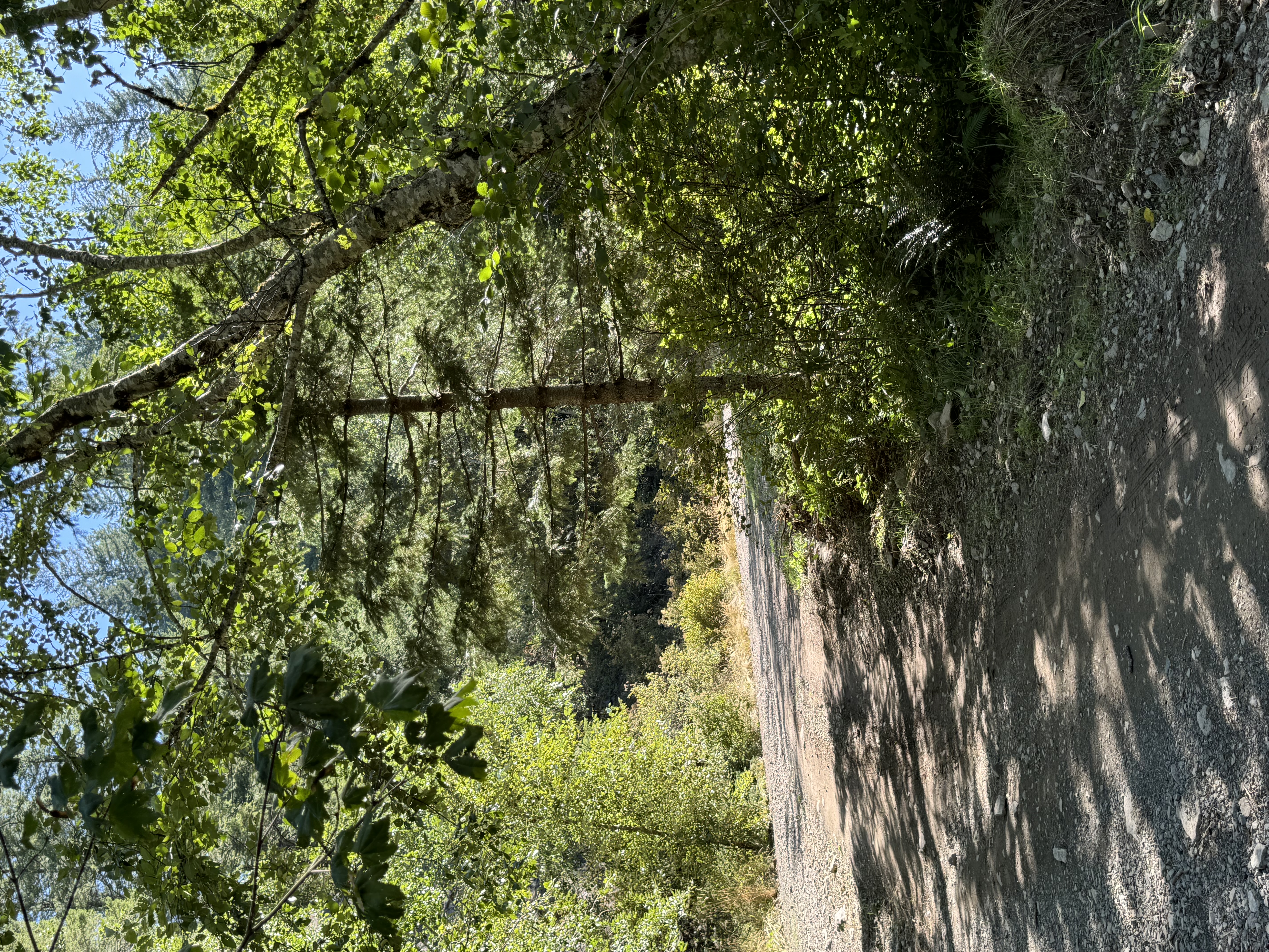 IMG_0626.jpeg