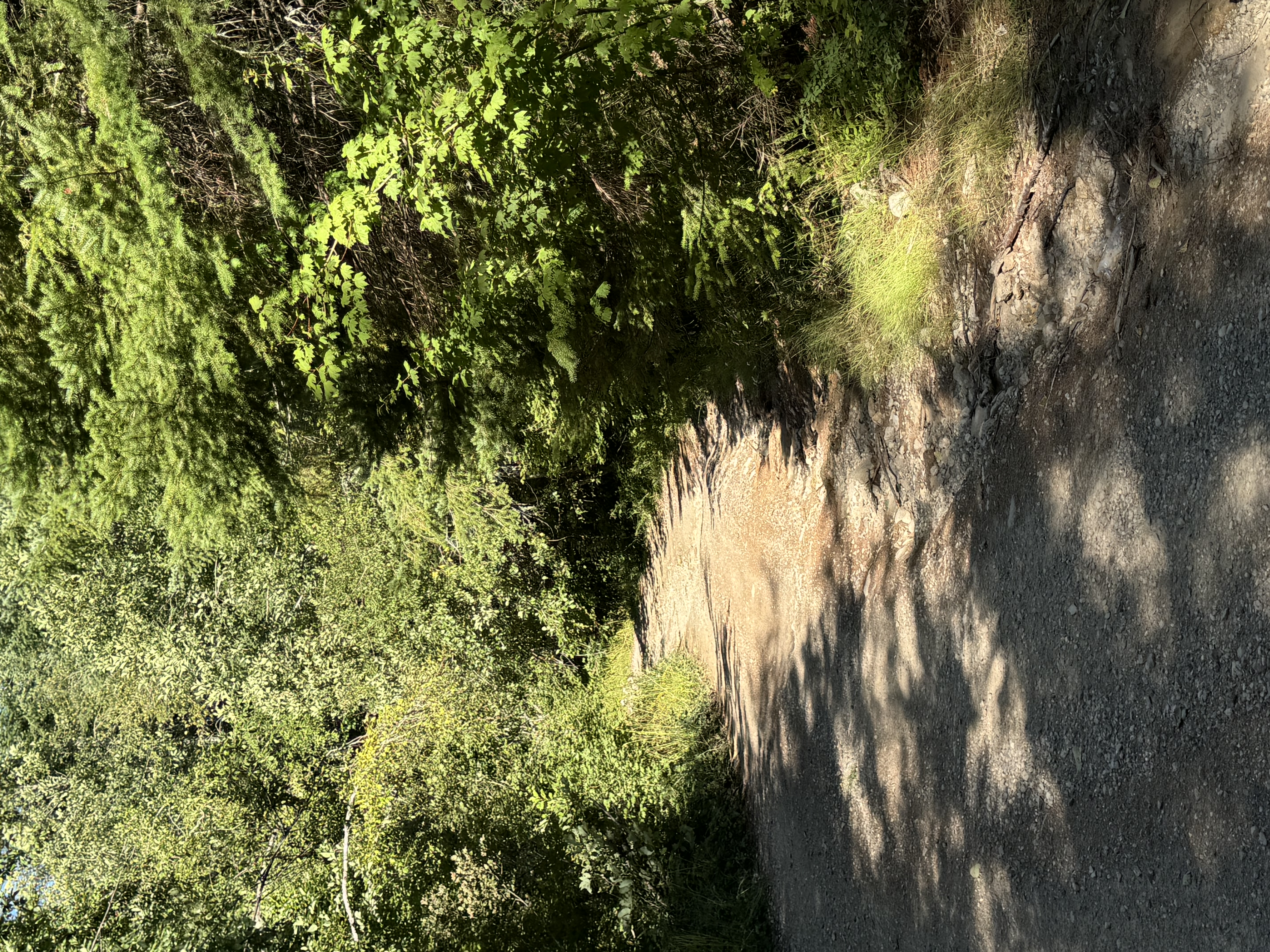 IMG_0630.jpeg