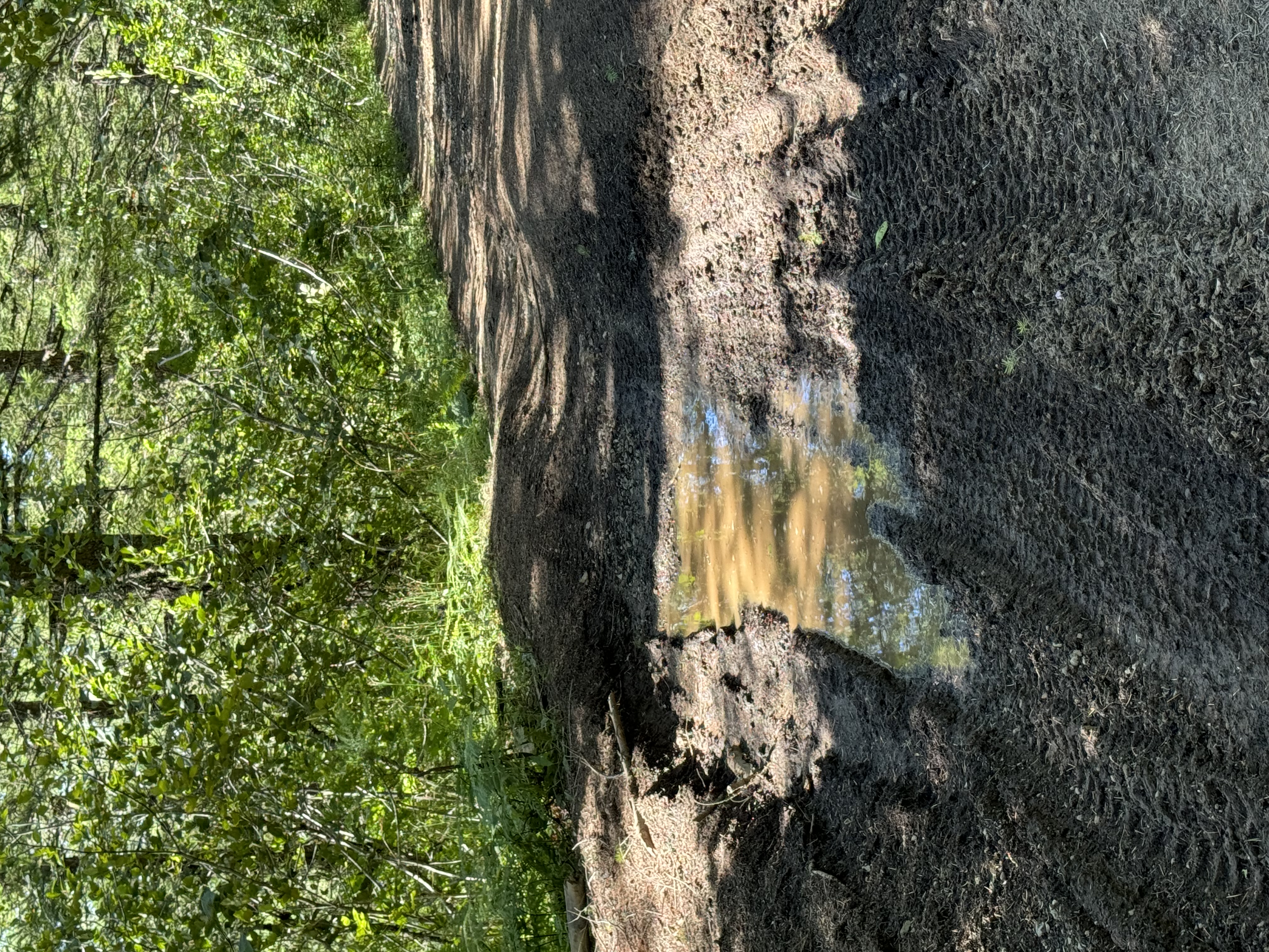 IMG_0639.jpeg