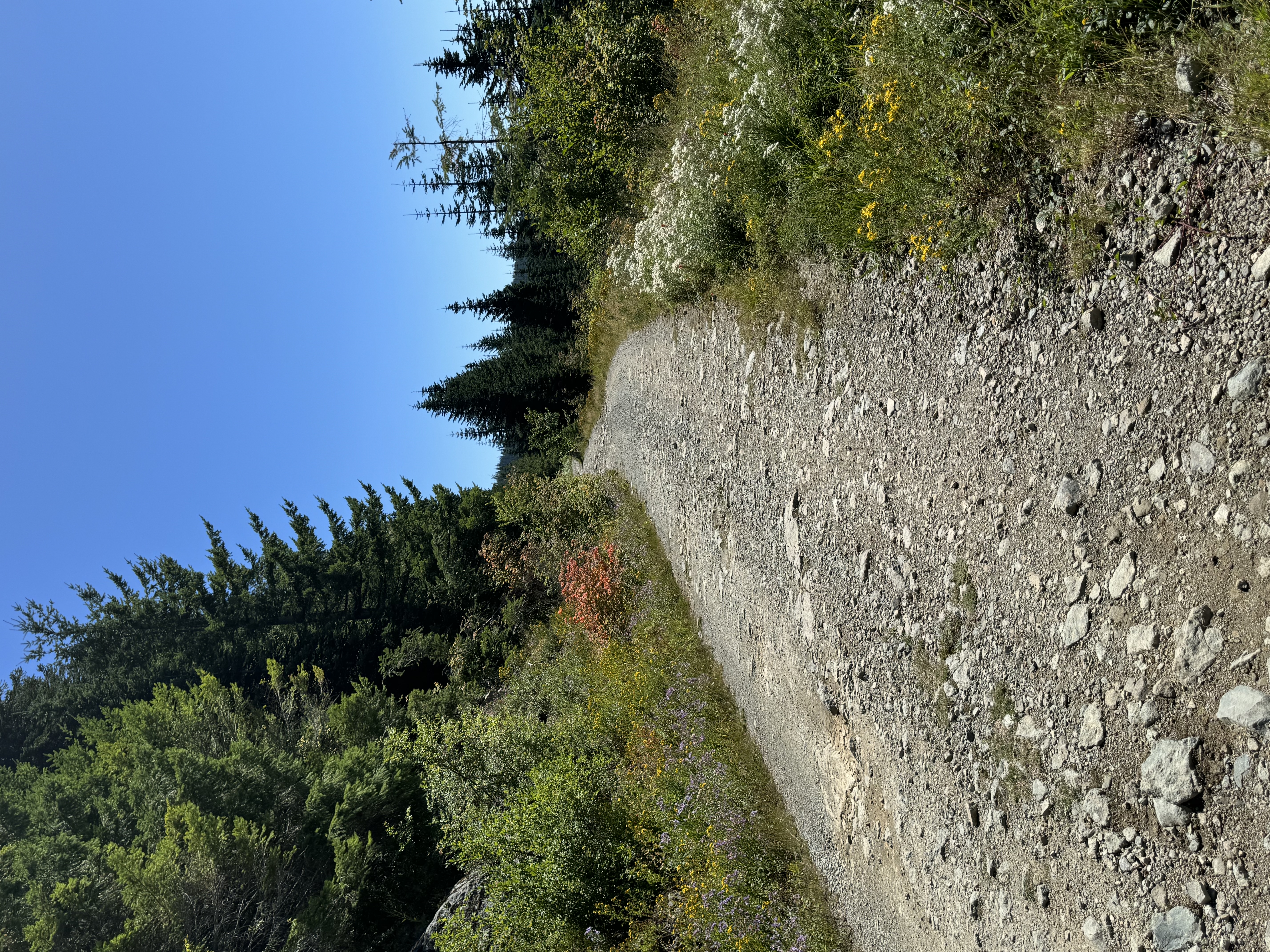 IMG_0677.jpeg