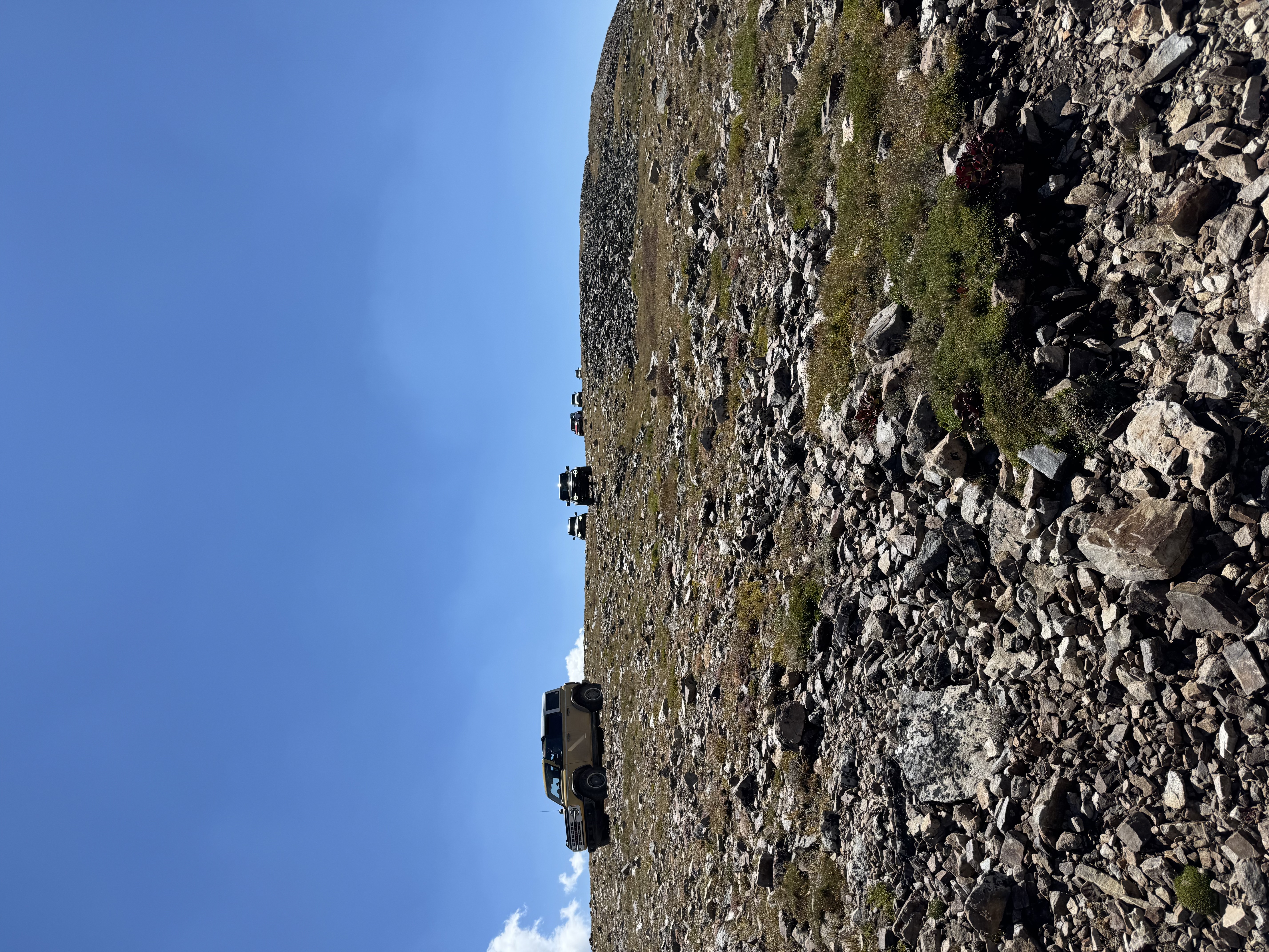 IMG_3865.jpeg