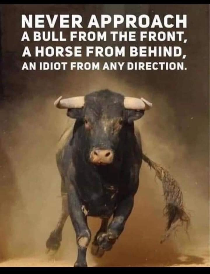 Bronco Memes and Funnies - Bronco Nation
