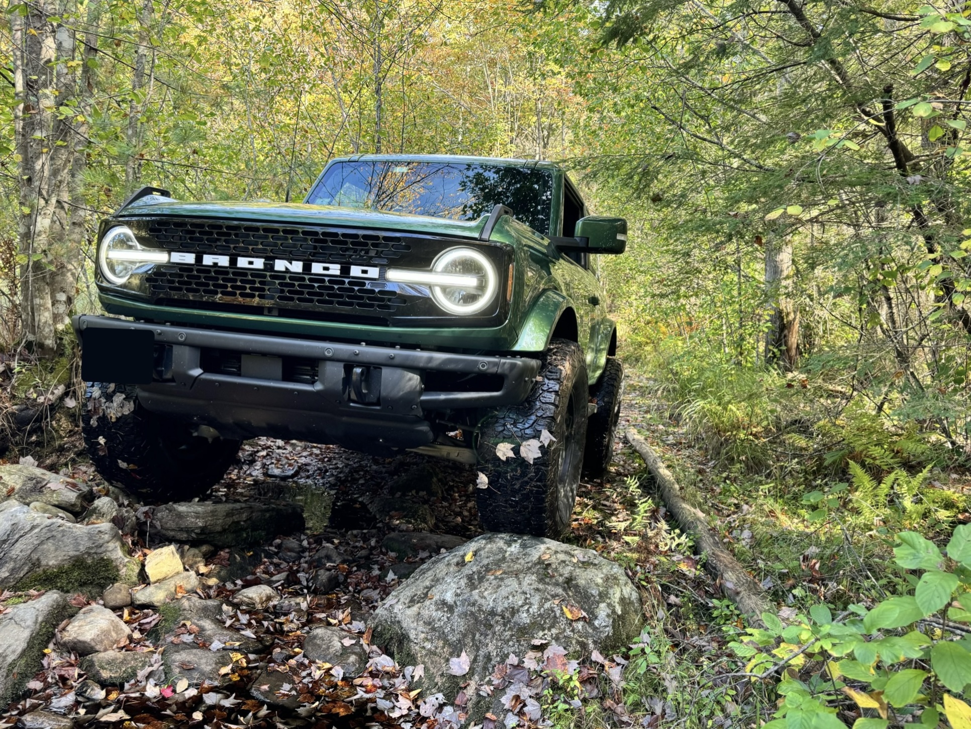 Fall-themed Bronco images - Bronco Nation