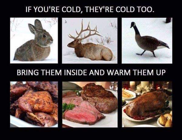 FB_IMG_1727714298953.jpg