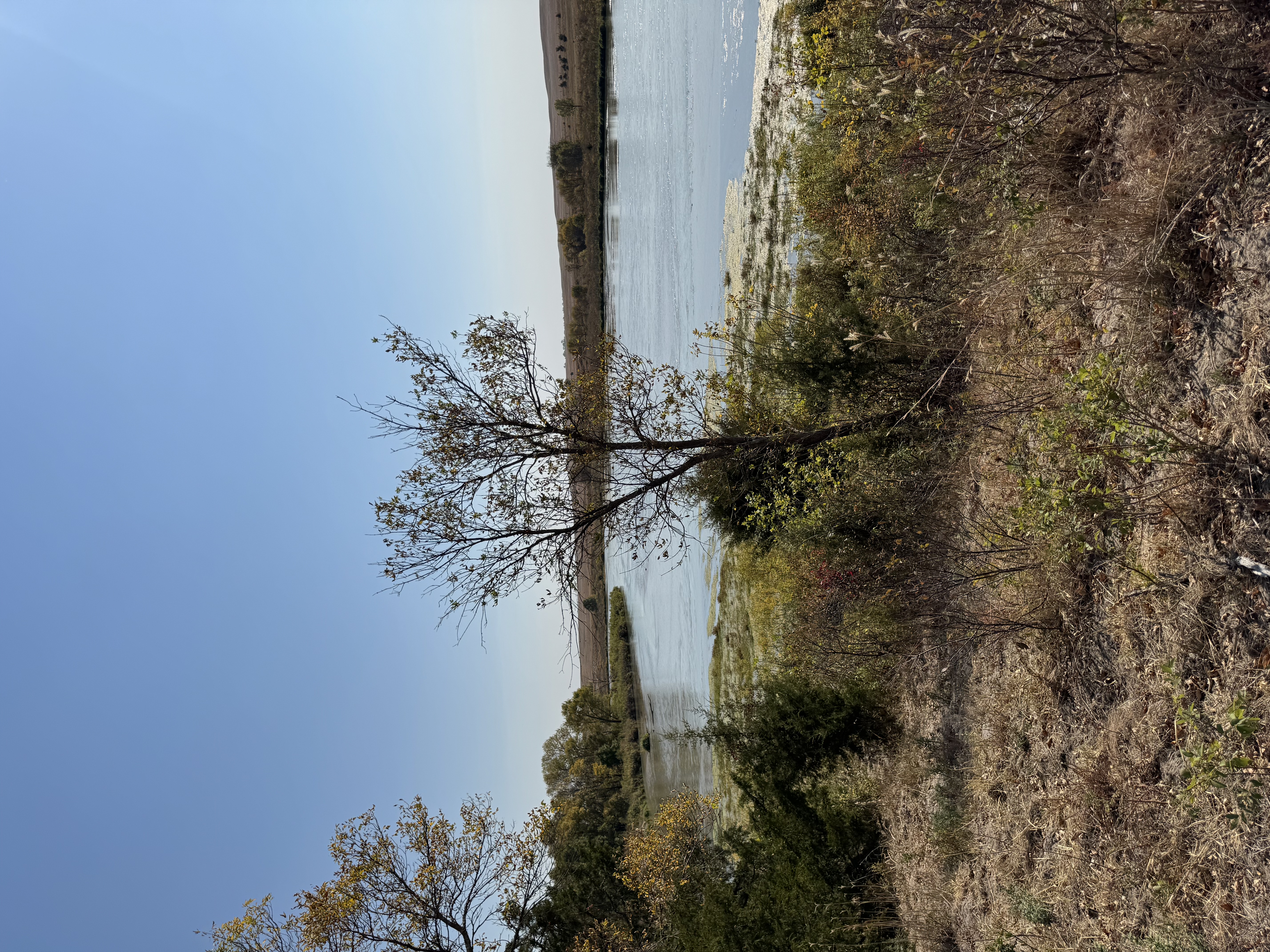 IMG_0927.jpeg