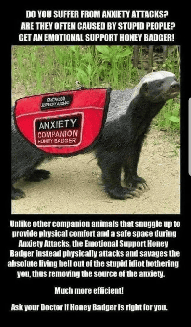 1731211427202.png
