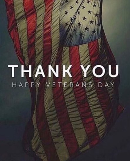 Veterans Day Flag Image.jpeg