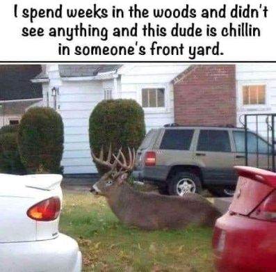 1731612689382.jpeg