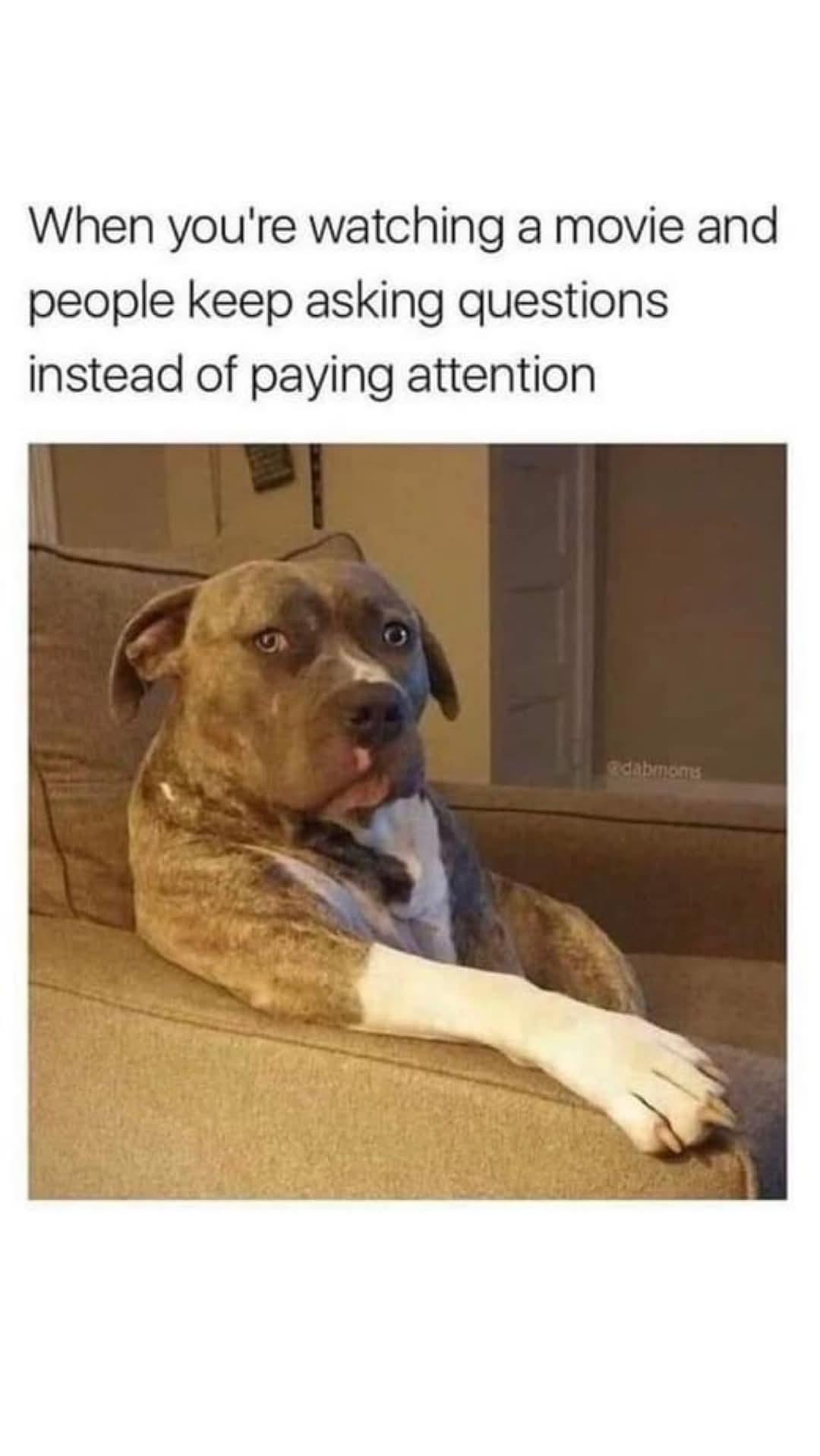 FB_IMG_1732643516629.jpg