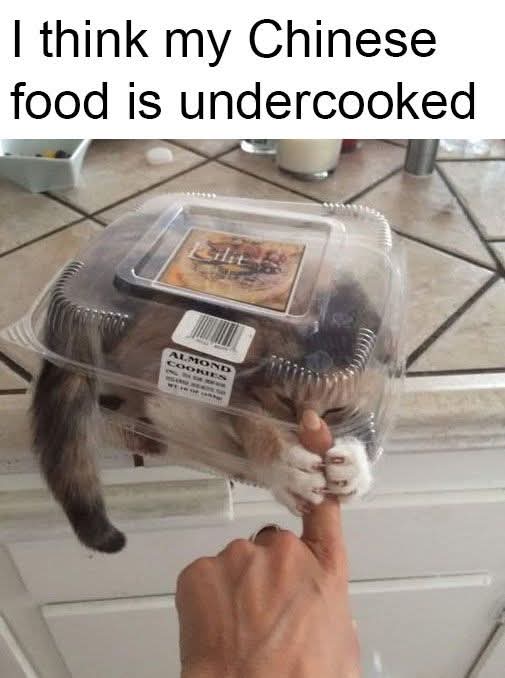 FB_IMG_1733333877788.jpg