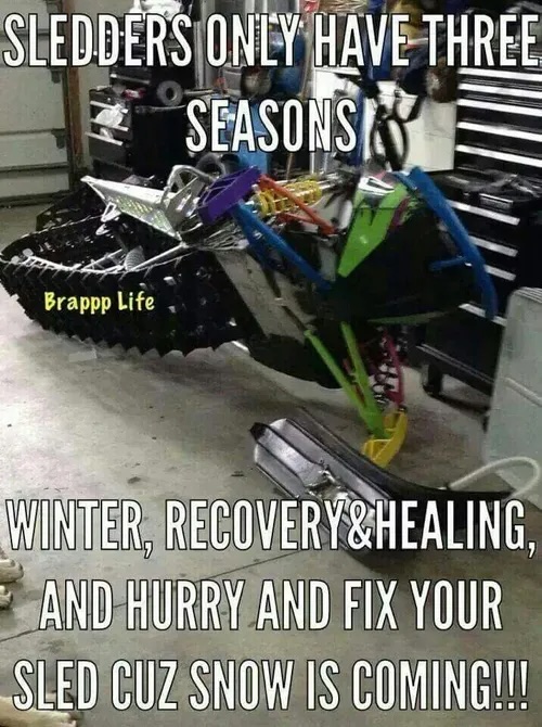Bronco Memes and Funnies - Bronco Nation