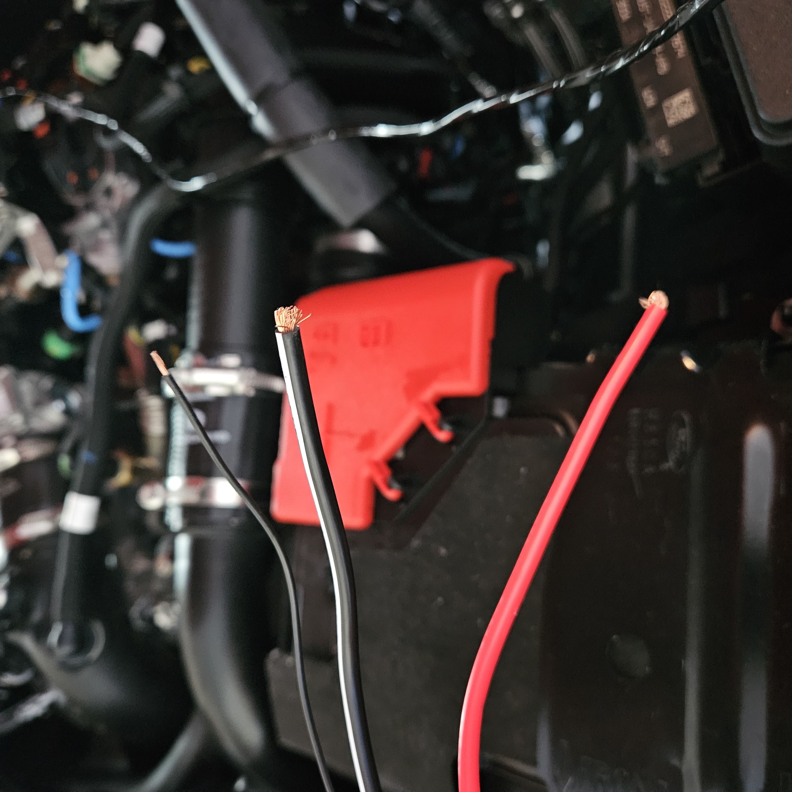 Help. ARB Single Compressor Wiring Bronco Nation