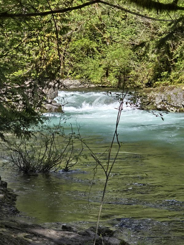 Gifford National Forest Camping and 4x4 Trip: (photo HEAVY) - Bronco Nation